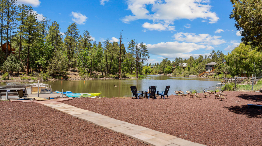 Low Maintenance Landscaping