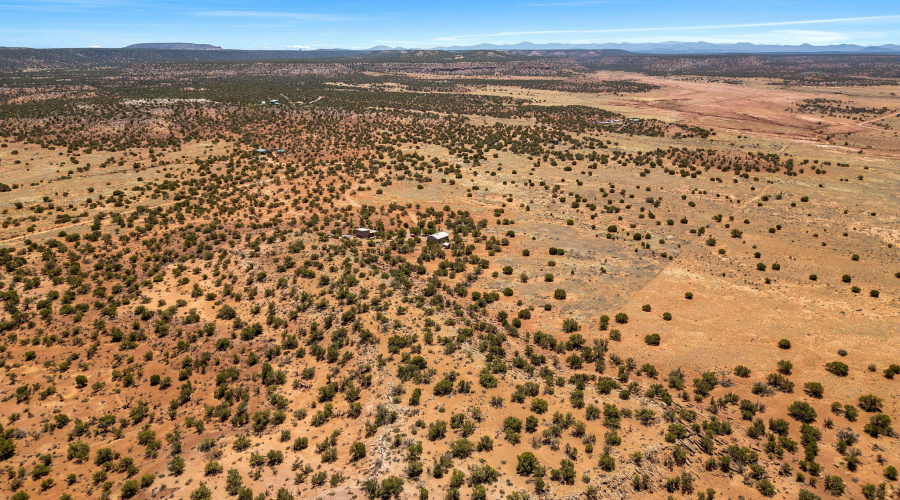 3733DelContento-Snowflake-AZ-14