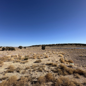 Concho Land