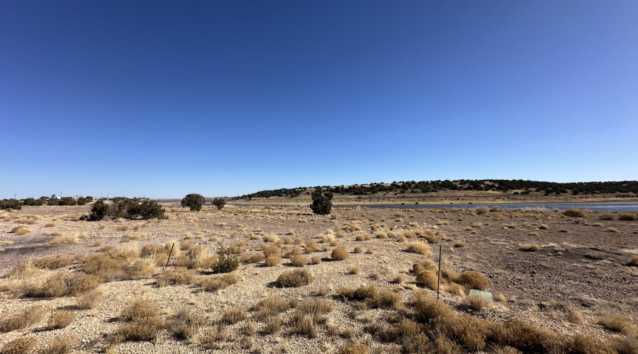 Concho Land