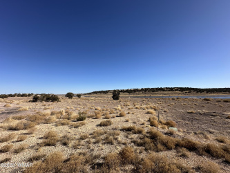 9 County Road 5700, Concho, Arizona 85924, ,Land,For Sale,County Road 5700,261481