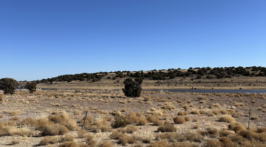 Concho Land