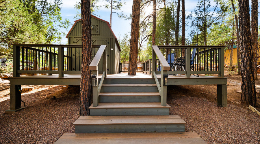 DECK WITH SHED