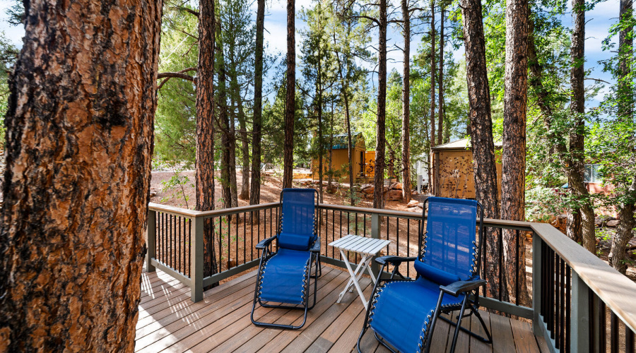 TREX DECK