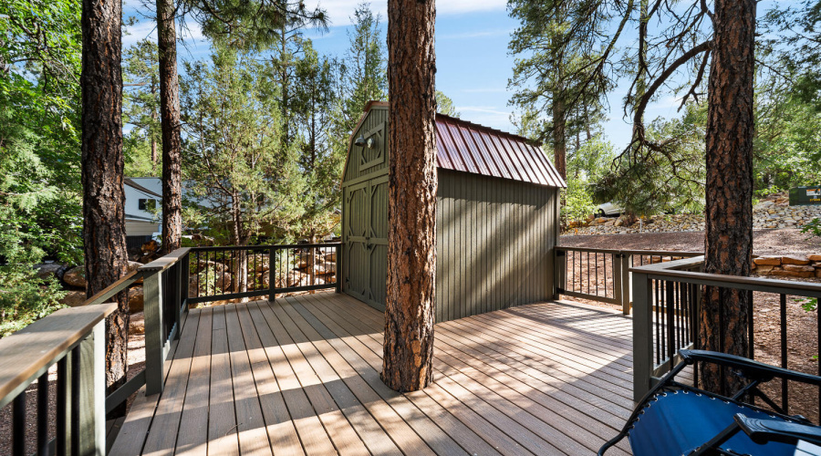 SHED/TREX DECKING