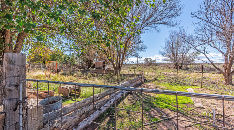 _DSC5978-HDR-Edit