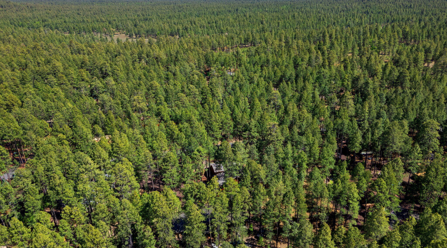 8424AlchesayDr-Pinetop-AZ-33