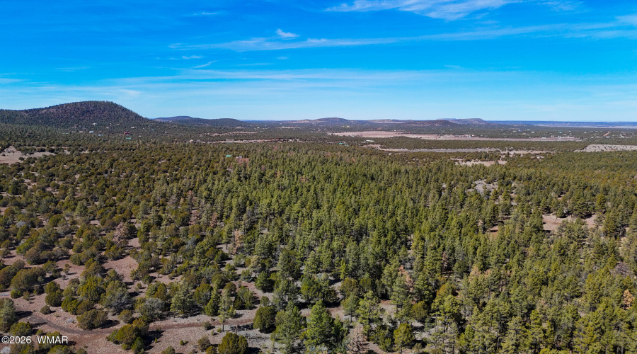 dji_fly_20260227_134030_0460_17722498006