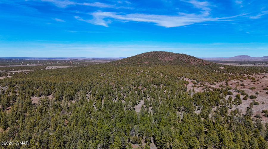 dji_fly_20260227_134032_0461_17722498003