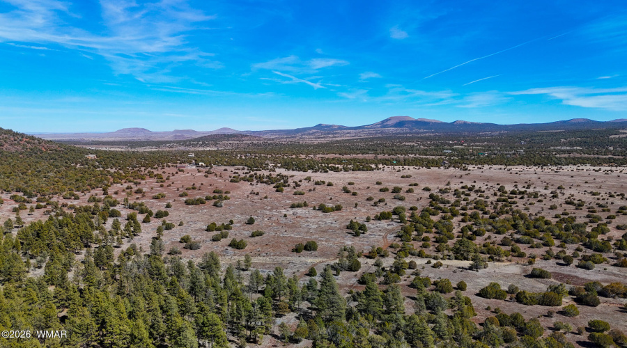 dji_fly_20260227_134034_0462_17722498000