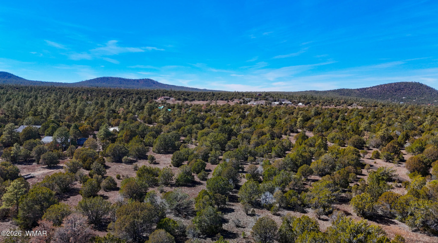 dji_fly_20260227_134100_0467_17722497983