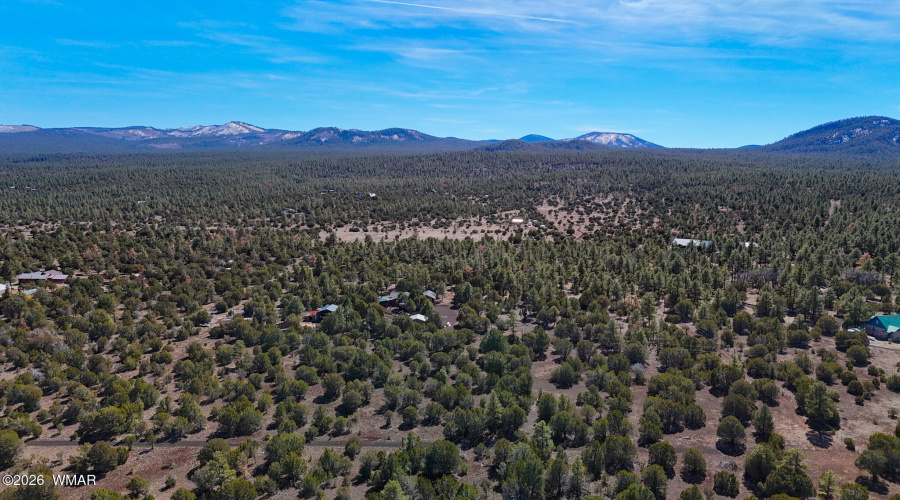 dji_fly_20260227_134142_0469_17722497976