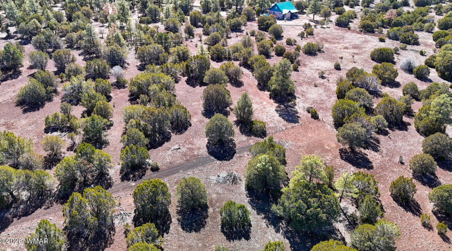 dji_fly_20260227_134156_0472_17722497967