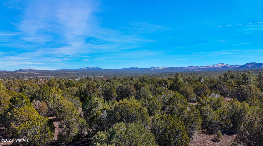 dji_fly_20260227_134206_0474_17722497961