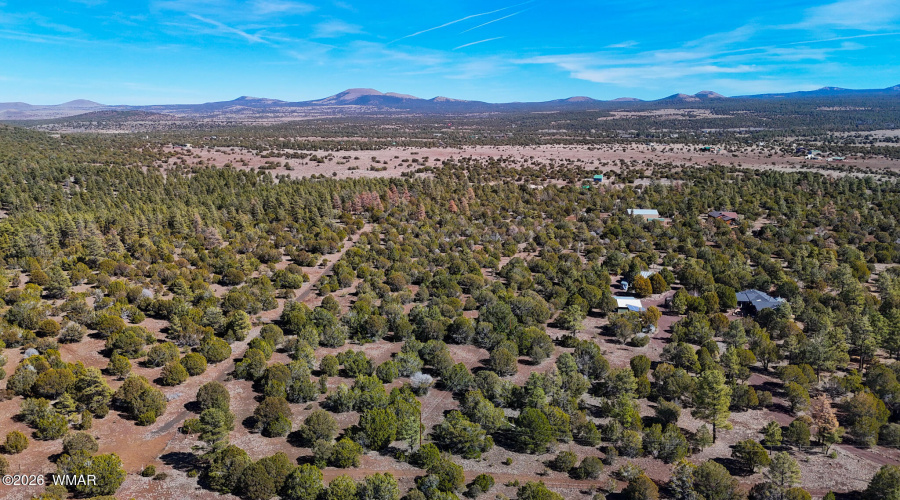 dji_fly_20260227_134244_0477_17722497950