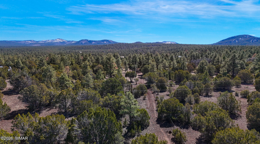 dji_fly_20260227_134306_0478_17722497947
