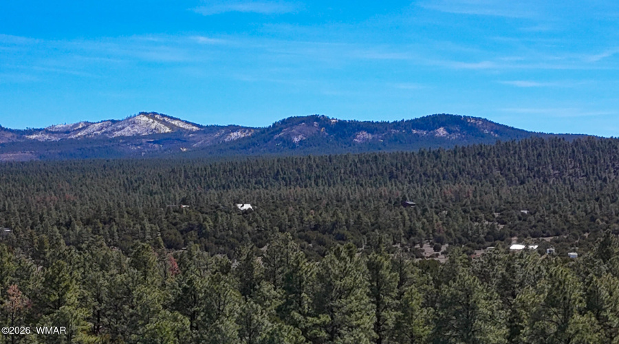 dji_fly_20260227_134324_0482_17722497932