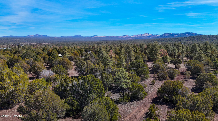 dji_fly_20260227_134314_0479_17722497943