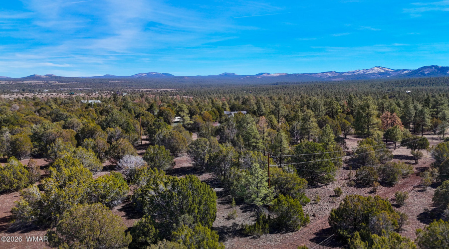dji_fly_20260227_134316_0480_17722497939