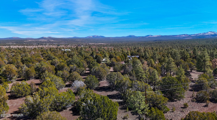 dji_fly_20260227_134318_0481_17722497936