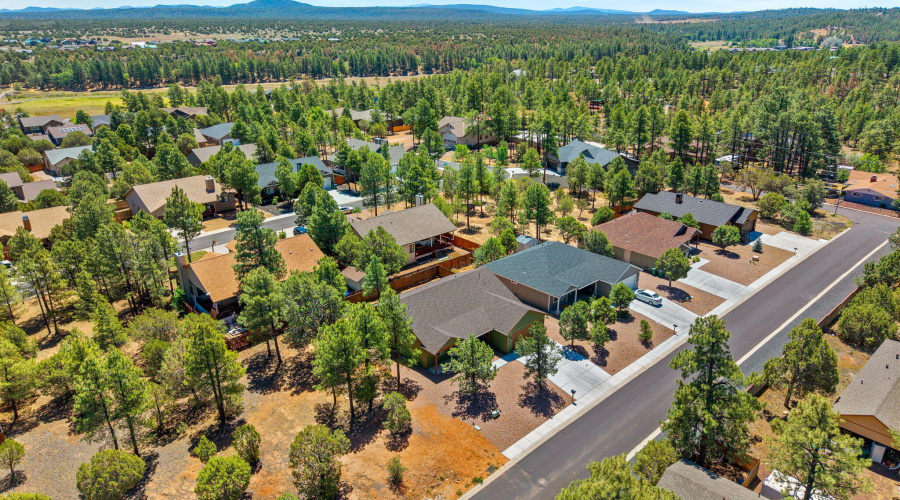 Aerial View of Community