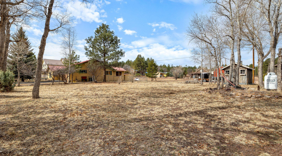 552RimDr-ShowLow-AZ-34