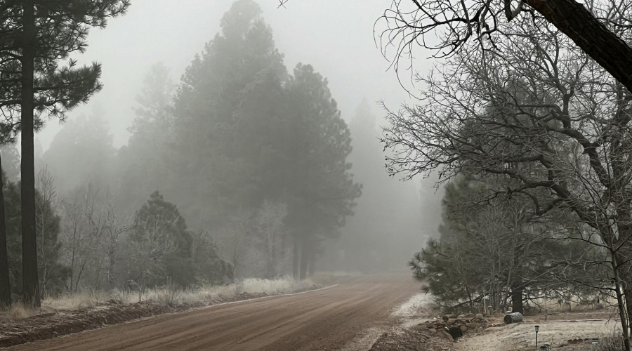IMG_2549