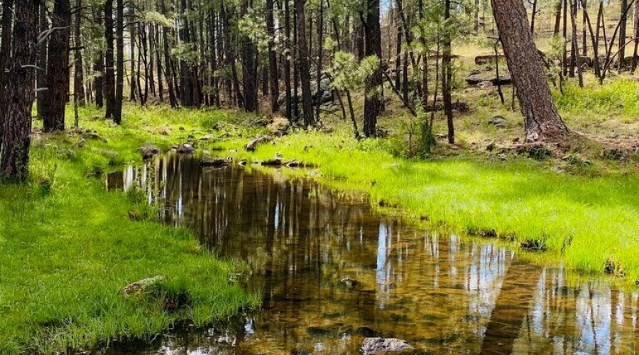 Trails In The White Mountains