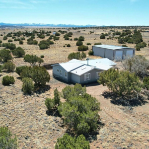 Aerial View of Property and Area