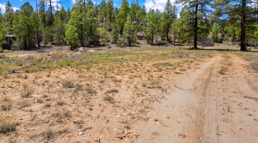 3326BlackCanyonRd-Heber-AZ-14