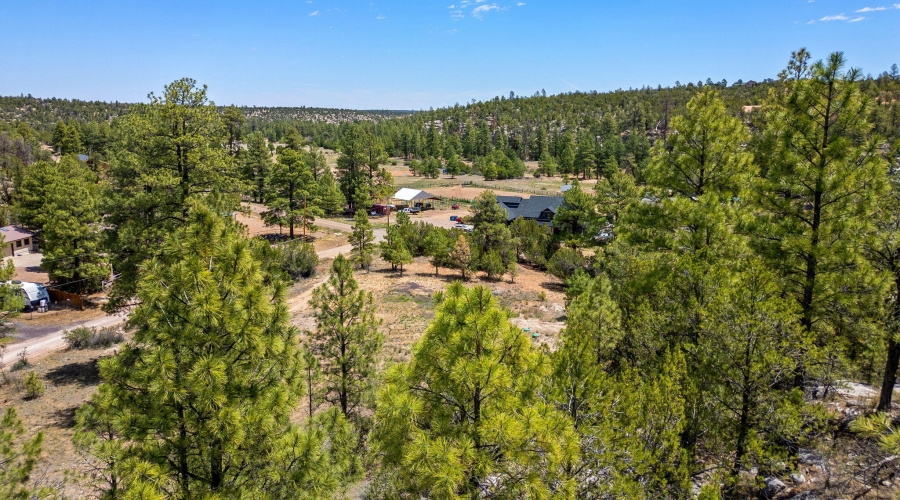 3326BlackCanyonRd-Heber-AZ-16