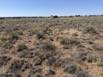 2598 6th Sundown Lane, Snowflake, Arizona 85937, ,Land,For Sale,6th Sundown,261533