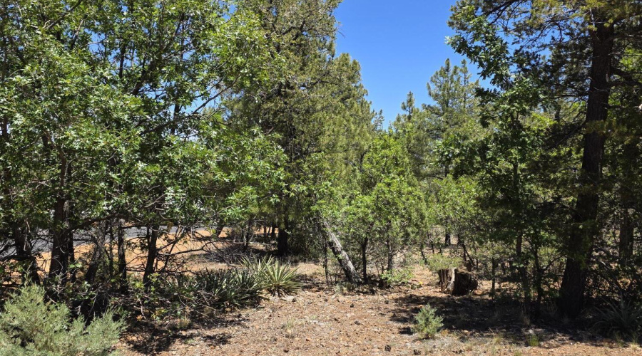Level Lot