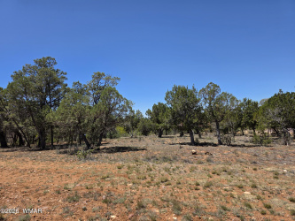 2292 Aero Mech Drive, Overgaard, Arizona 85933, ,Land,For Sale,Aero Mech,261521