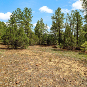1060 S Hacienda Pines
