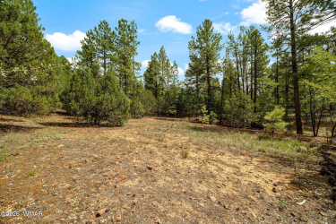 1060 Hacienda Pines Drive, Show Low, Arizona 85901, ,Land,For Sale,Hacienda Pines,261527