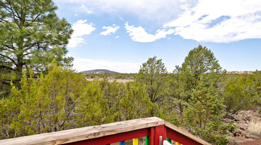 Back Deck