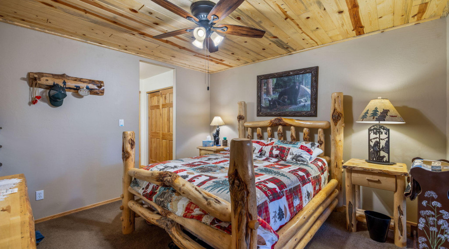 2702PalominoTrail-Overgaard-AZ-17
