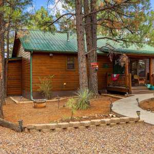 2702PalominoTrail-Overgaard-AZ-3