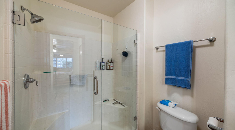 2702PalominoTrail-Overgaard-AZ-21