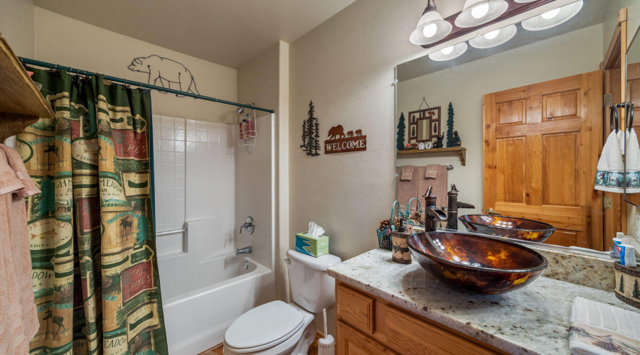 2702PalominoTrail-Overgaard-AZ-23