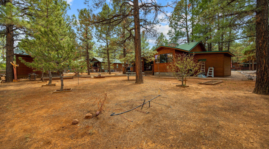 2702PalominoTrail-Overgaard-AZ-28
