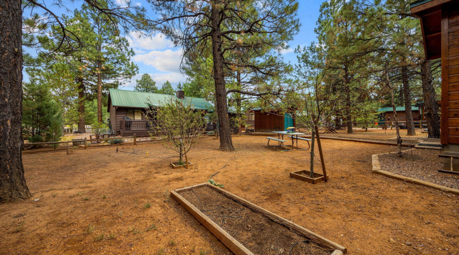2702PalominoTrail-Overgaard-AZ-29