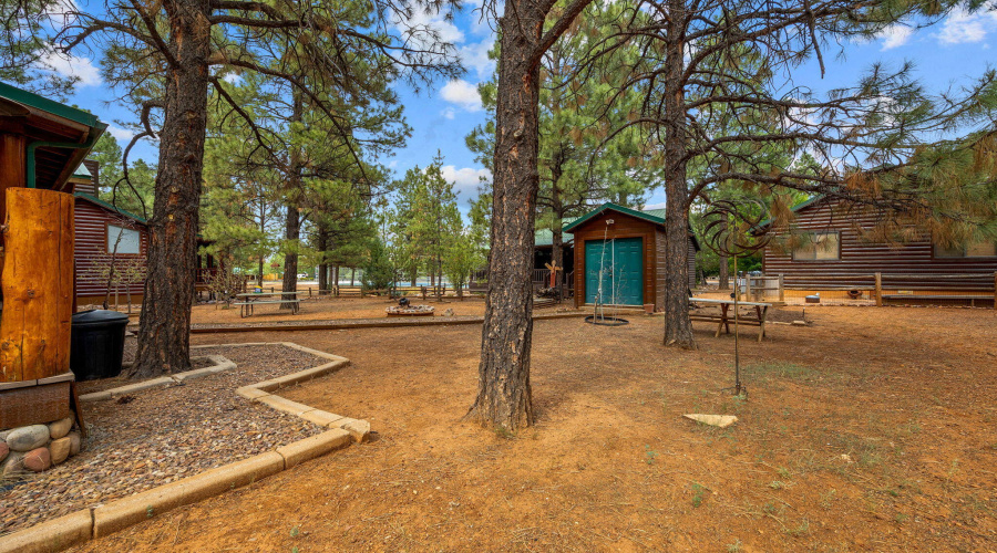 2702PalominoTrail-Overgaard-AZ-30