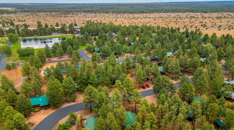 2702PalominoTrail-Overgaard-AZ-33