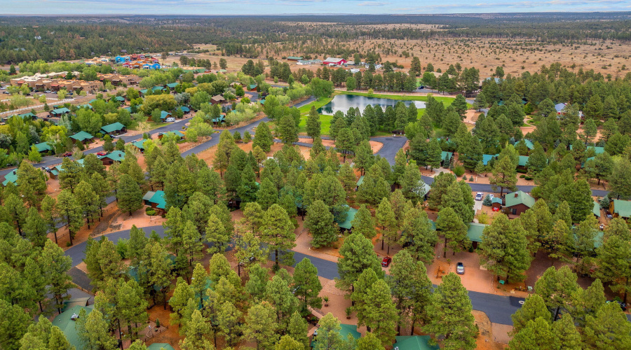2702PalominoTrail-Overgaard-AZ-34
