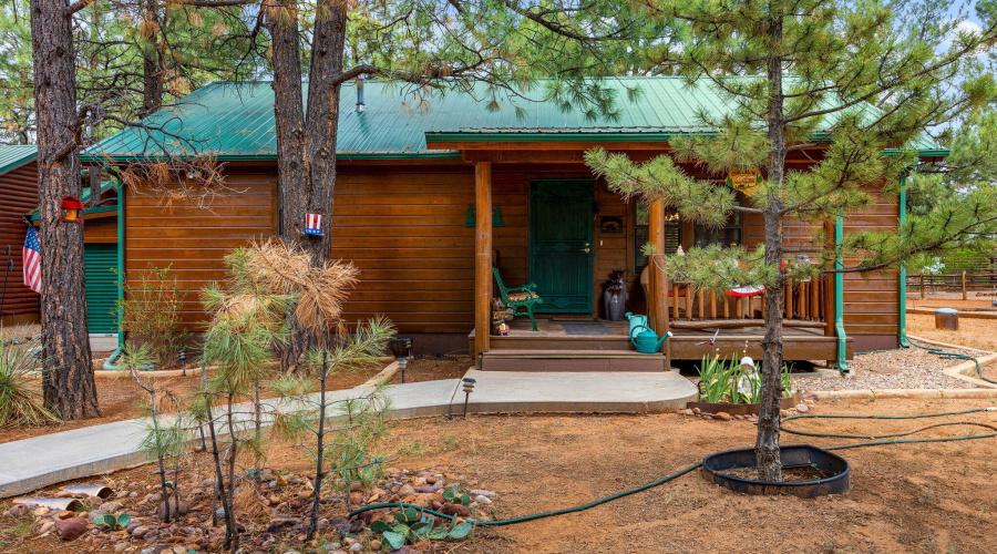 2702PalominoTrail-Overgaard-AZ-4