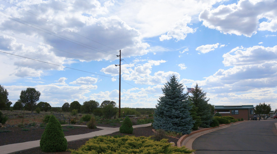 Your View of the Forest from the front