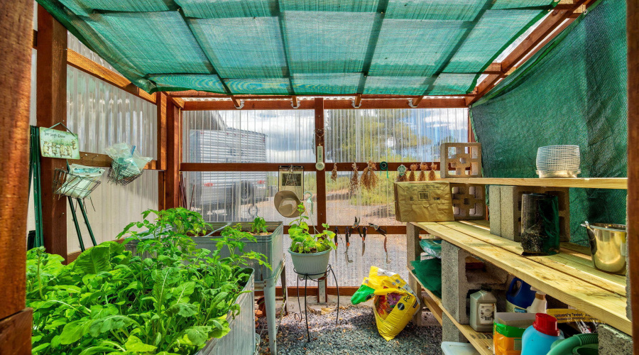 greenhouse