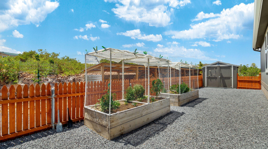 Garden beds and shed